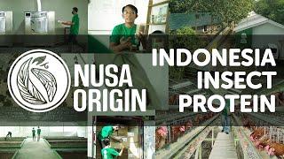 Nusa Origin company video