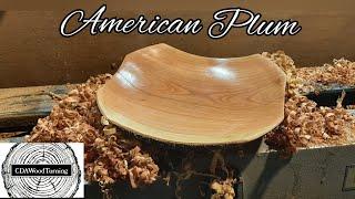 WoodTurning | How I Made | American Plum Bowl