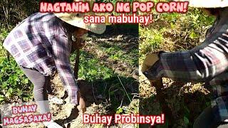 "PLANTING CORN! @THE FARM!Probinsya Vlog 312 Buhay Probinsya Updates || Erlyn Go TV