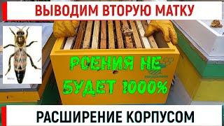 Выводим вторую матку в корпусном улье. Роения не будет 1000%