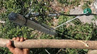 Too dangerous, one mistake could have fatal consequences. Tree cutting near the power line pole.