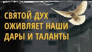 «Святой Дух оживляет наши дары и таланты» | Андрей Бакала Онлайн