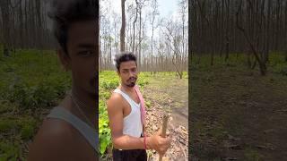 Forest part 2 #travelblog #india #pablic #vlog #minivlog #forest #shortvideo #the toton #youtube￼
