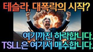 [고버니] 테슬라, 대폭락의 시작? 여기까진 하락합니다, 여기서 TSLL을 매수합니다.