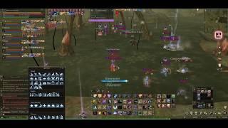 Lineage II ElCardia+Esthus        vs Majesty