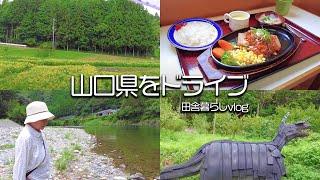 【田舎暮らし】山口県といったら山賊？ドライブしてきました！【仲良し夫婦】【山口県】