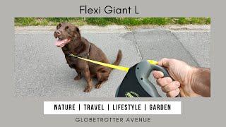 Flexi Giant retractable tape leash for large dogs up to 50 kg