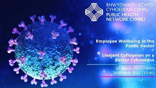 Employee Wellbeing in the Public Sector | PHNC Webinar March 2021