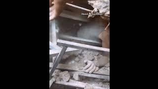 walk through Gaza (09/05/24) buried under concrete