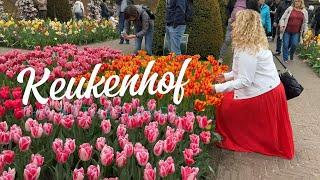 The Most Beautiful Gardens in Europe: Keukenhof Netherlands 