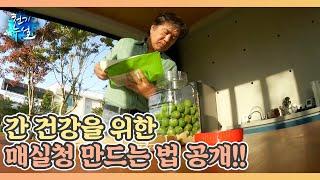 간 건강을 위한 매실청 만드는 법 공개!! MBN 230623 방송