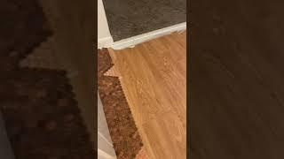 Kitchen Penny Floor Installation