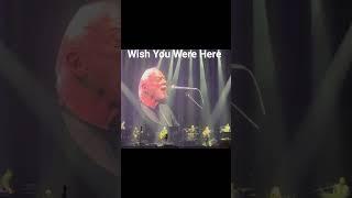 David Gilmour’s chills-inducing ‘Wish You Were Here’ live in Brighton 2024!  That guitar solo 
