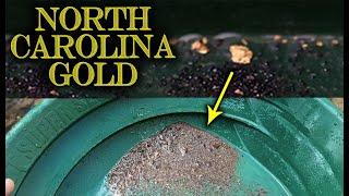 Chunky North Carolina Gold Found on Bedrock in the Uwharrie National Forest!