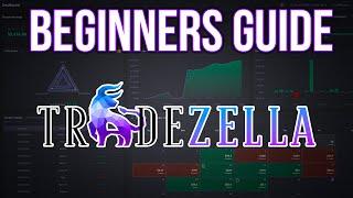 Beginners Guide To TradeZella (2024)