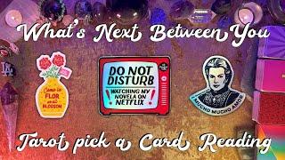 What's Next Between You? Tarot Pick a Card Reading