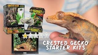 Rating CRESTED GECKO Starter Kits - What They Contain & Are They Worth It?