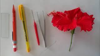 Disection and Display of floral [] std 12 Biology practical  [] CBSE / ICSE / State board