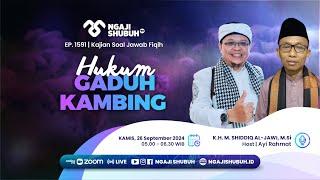 HUKUM GADUH KAMBING ~ Kajian Soal Jawab Fiqih