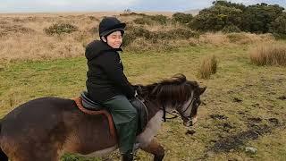 Hack on Dartmoor Mary Tavy