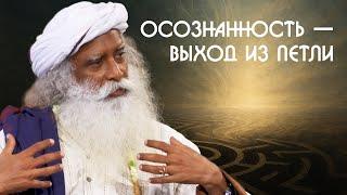 Как избавиться от хороших привычек Садхгуру на Русском