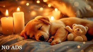 12 Hours of Calming Music for DogsPuppy Music RelaxationSeparation Anxiety Relief Music⭐