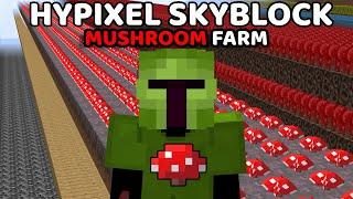 Best Mushroom Farm On Hypixel SKYBLOCK