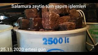 Salamura zeytin tüm yapım işlemleri Gemlik Muratoba Köyü