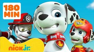 PAW Patrol | ¡3 horas de los MEJORES momentos de Marshall! | Nick Jr. en Español