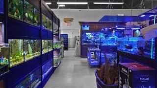 Now THIS Is A Fish Store! - AQUARIUMS UNLIMITED 