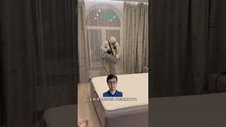 Как проводят дезинсекцию: уничтожение насекомых в квартире