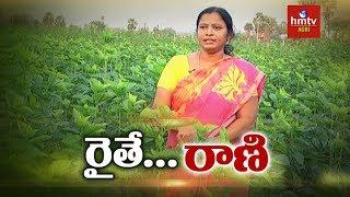 Mulberry Cultivation - Woman Farmer Shilpa Success Story | hmtv Agri