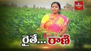 Mulberry Cultivation - Woman Farmer Shilpa Success Story | hmtv Agri