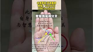 智慧线尾端分叉#手相 #八字算命 #palmistry #传统文化