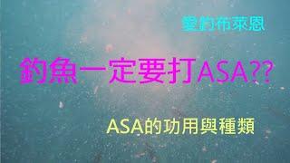 學釣魚 #5 淺談誘餌(ASA)-上集: ASA的功用與種類  (磯釣入門系列)(有字幕)