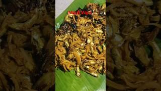  Choto Macher Vapa |#shorts #youtubeshorts #viral