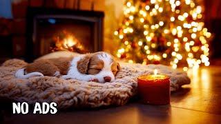 3 Hours of Calming Music for DogsMusic for Stressed DogsDog Separation Anxiety Music #5