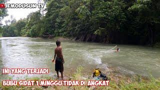 Petualangan Mencari Ikan Ke Sungai Dalam Hutan | Petualangan Part 21