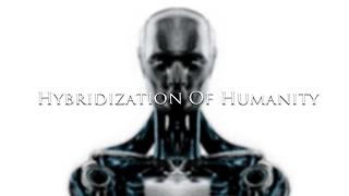 Hybridization Of Humanity