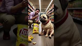 Stop Taking My Chips #funny #dog #memes