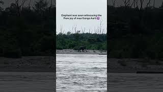 Triveni ghat Rishikesh #ganga#trending #viralshort#elephant #uttrakhand #like #likeforlikes #comment