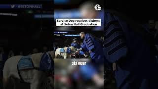 SERVICE DOG RECEIVES DIPLOMA AT SETON HALL GRADUATION