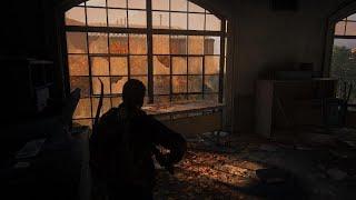 The Last of Us Part I (4K) - Shadow on the glass and through the glass