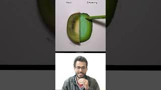 Real Kiwi Vs Drawing challenge #shorts