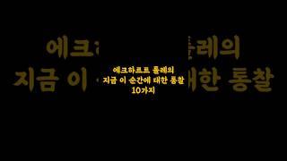 에크하르트 톨레, 지금이 순간에 대한 통찰 10가지  #마음수행 #긍정의말 #명언 #긍정적마인드
