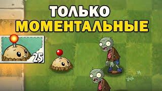 Plants vs Zombies 2 НО Я ИСПОЛЬЗУЮ МОМЕНТАЛЬНЫЕ РАСТЕНИЯ