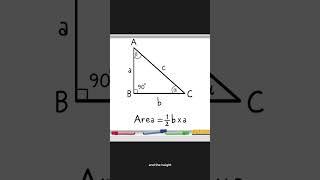 Triangles Perimeter and Area #math #matematicas #geometry #stem #learntocode