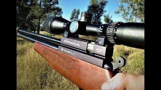 Evanix hunting master 22 // Pigeon Hunting!