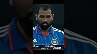 Shami vs Stonis  #cricket #cricketlover