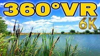 360° VR Lake Tancabesti Beautiful Walk Tour Snagov Bucharest Trip Romania 6K 3D Virtual Realty HD 4K